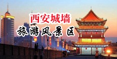 大鸡巴插B免费看中国陕西-西安城墙旅游风景区