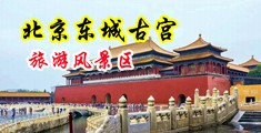 骚逼69p中国北京-东城古宫旅游风景区